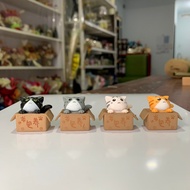 Cat Figure In Box Cat Decoration Figure Orange Black White Grey Table Decoration