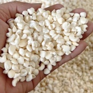 [Super cheap] 5kg White corn for export (ground large) - NEP CORN (STICK CORN) Factory price