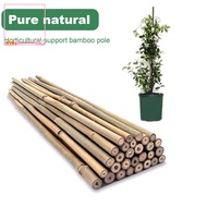 GOF Weather-resistant Plant Stakes Bamboo Plant Stakes 20 Pcs Bamboo Plant Support Stakes for Orchid