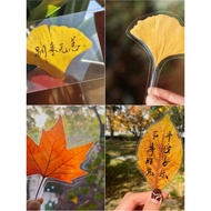 Leaf Specimen Cold Lamination Film Cold Lamination Film Self-Adhesive Photo Album Photo Plastic Film