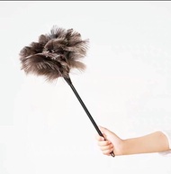 Dust Remover Duster for Car