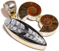 Natural Sea shell Ammonite & Orthoceras Fossil Gemstone Handmade Large Pendant Jewelry, Shell Pendan