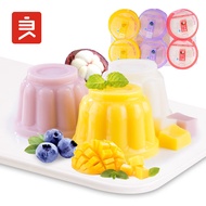BESTORE Mango Jelly Fruit Mangosteen Blueberry Jelly Casual Snack Snack Combination Coconut Pudding(720g)*2