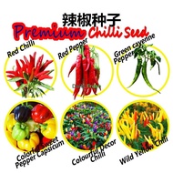 Benih Cili Chilli Seed / Pepper Seed / Sweet Capsicum /Green Cayenne Pepper Seed Decoration Chilli Seed Premium Quality