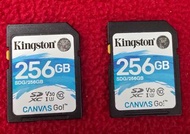 Kingston Canvas Go! Plus V30 SDXC 記憶卡 256GB, SDG