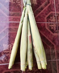 Terubuk sayur telur tebu terubuk sayuran terubuk langka kembang tebu