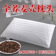 Buckwheat Buckwheat Skin Adult Pillow Supply Chain Buckwheat Shell Neck Pillow Foreign Trade Pillow 