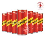 Schweppes Dry Ginger Ale Carton (320ml x 12 Cans / 300ml x 24 Cans)
