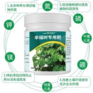 Happy Tree Special Fertilizer for Flowers Green Plants Fortune Tree Peace Tree Rubber Tree Money Tre