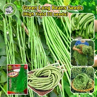 [Fast Germination/COD] High Quality Organic Green Eyebrow Beans Seeds for Planting - High Yield Gree