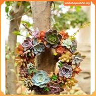 [WishshopeehhhMY] Iron Wire  Succulent Pot Rack Wedding Garden Decor NEW Great for decorations durin