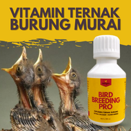 Vitamin Ternak Burung Murai Batu Cepat Birahi / Vitamin Breeding Burung Murai Obat Breeding Murai