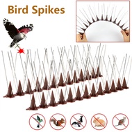33cm Bird Spikes Stainless Steel Anti-Bird Double Protection Repellent Spikes Easy To Assemble Fence