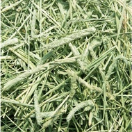Timothy anderson 1st cut grass, timothy grass for rabbits, guinea pigs over 6 months, natural timoth