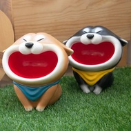 滿滿嘴玄關柴犬收納擺飾 柴犬大學 柴迷必備 公仔 送禮