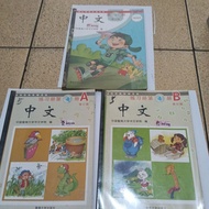 Zhongwen Mandarin Books 4, 4A and 4B