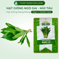 Cilantro Seeds - Chinese Coriander, RADO 76, 10g Bag (~12000 seeds), Plant all year round | Rang Don