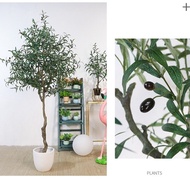 (Express) olive tree 1m3 - 1m6, decorative fake olive, steel core olive tree for living room decor.