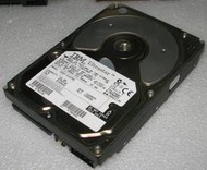 【Monster】 SCSI 硬碟  68pin 18GB XC18L011 IC35L018VWD210-0