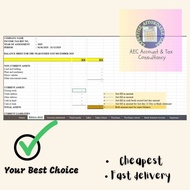 2025 Income Tax Computation Template Auto Calculate Form B LHDN - financial statement LAPOR CUKAI BO