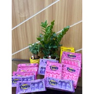 [AMERICAN PRODUCT] Peeps Marshmallow 85g