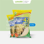 Benih Padi Inpari 42 Pertiwi 5kg Bibit Pari Jumbo Inpari42 5 kg