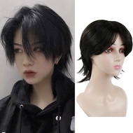 Cosplay For Men Anime Synthetic Wig Short Straight Party Wig With Bangs For Men Women