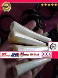 PIPA ONCE IGA DUYUNG ORIGINAL KUALITAS panjang 5 SAMPAI 8 cm
