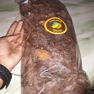 Kripik Pisang Coklat Lampung 1Kg Ea