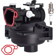 595656 Carburetor Fit for Briggs & Stratton 799583 591323 595656 591979 591160 Carb Fit for 300E 450