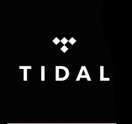 Tidal HIFI Plus individual