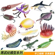 Simulation Ancient Animal Toys Prehistoric Marine Life Model Trilobite Odd Shrimp Ammonite Parrot Sn