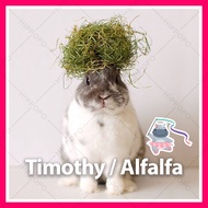 🦛HIPPOPO Timothy / Alfalfa Hay / Chaff (Individual Plastic/Box packing) 500gm 1kg 2kg 4kg