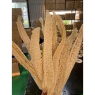 Loofah CORE - natural loofah