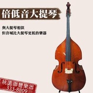 《∮聯豐樂器∮》1/4   1/2  3/4 低音大提琴 附琴袋 全新品 售$29000 可出租