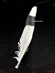 bulu burung bukan enggang