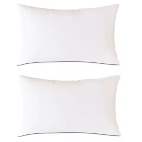 2PCS 30x50cm 45x45cm 50x50cm Throw Pillows Insert Cushion Inner Soft Fluffy Plump Stuffer Cushion Pa