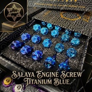 SALAYA CASING ENGINE SCREW FULL SET GR5 TITANIUM PURPLE BLUE SKRU CASING ENJIN Y15ZR Y16ZR LC135 SID