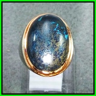 BACAN DOKO HITAM COKLAT HARGA EKONOMIS