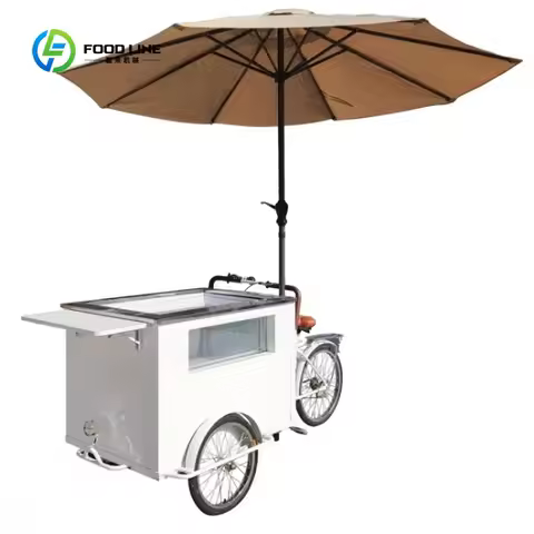 Customized Electric Food Ice Cream Truck Electric Bike Refrigerator Flower Cart Bicycle With Full Ki
