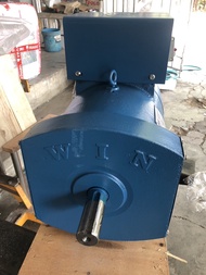 ไดนาโมปั่นไฟ ขนาด 2 / 3 กิโลวัตต์ Generator ยี่ห้อ WIN รุ่น ST-2KW/ST-3KW