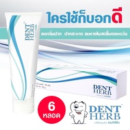 ยาสีฟันเดนท์เฮิร์บ [ 6 หลอด ] DENT HERB Toothpaste