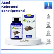 Ready MERIAL Fish Oil Obat Kolesterol Herbal / Merial Red Pine Korea