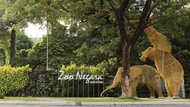 Tiket Zoo Negara