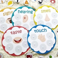 Busy book Five Senses Sorting Activity