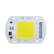Direct 220V LED 30W COB 220V 30 W Cool White Direct Without Driver