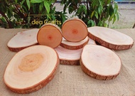 TERMURAH Tatakan Kayu Alami Natural Wood Dan Natural wood slice  tatakan kayu hiasan dinding dekor