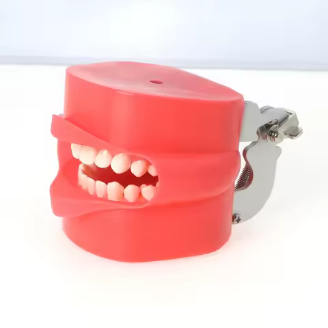Dental Rubber Simulation Cheek Soft fit Kilgore NISSIN 200/500Type Teeth Model MP