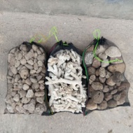Biological Filter Media Package Ginger Coral Pumice Stone Gombong Waring Stone 40x25 total 8KG