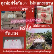 ถุงห่อผลไม้ ถุงห่อฝรั่งAA+ กันแสงUV6x14 6x12 ขาวขุ่น ห่อฝรั่ง น้อยหน่า ชมพู่ มะม่วง มีรูระบายอากาศ